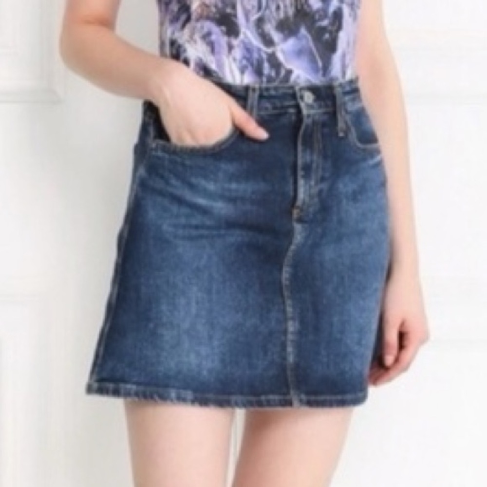 AG Adriano Goldschmied The Ali A Line Denim Mini Skirt